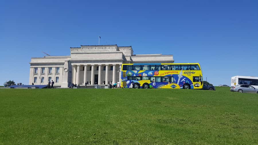 Auckland: Hop-On Hop-Off Explorer Bus Ticket - Blue route: Mount Eden, the zoo, and MOTAT