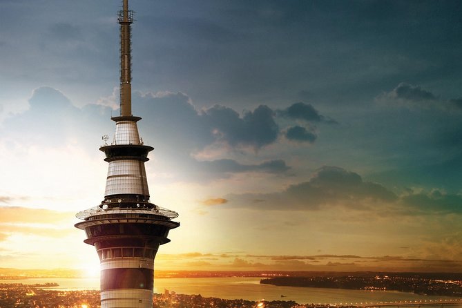 Auckland Māori Culture Experience - Private Tour - What private transport adds to the day