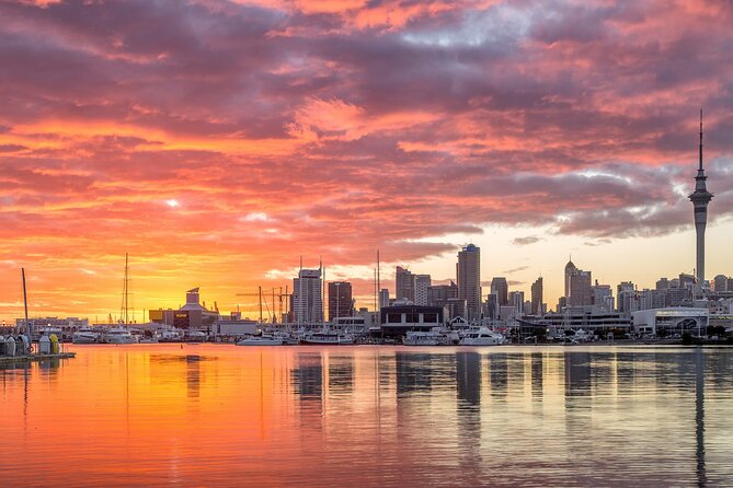 Auckland Māori Culture Experience - Private Tour - Is the $369.24 price good value?