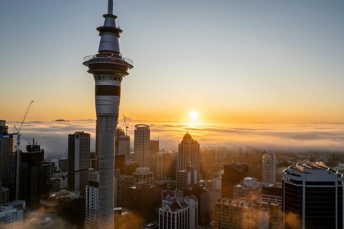 Auckland Museum and Highlight Sightseeing Tour - Four details that shape the day