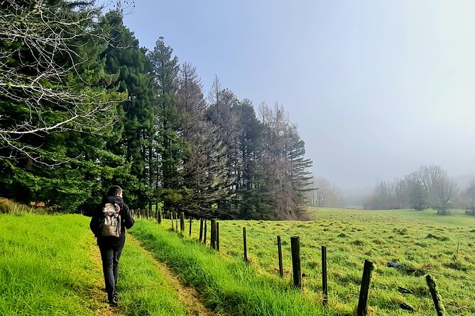 Auckland Nature Tour - The guides can shape the day