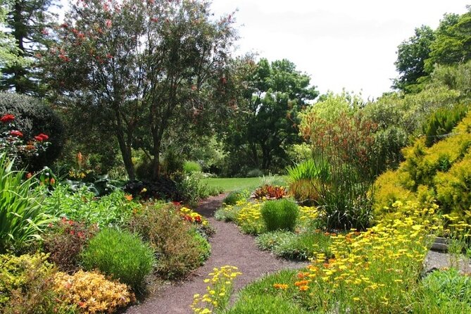 Auckland Nature Tour - Who will enjoy this half-day outing?