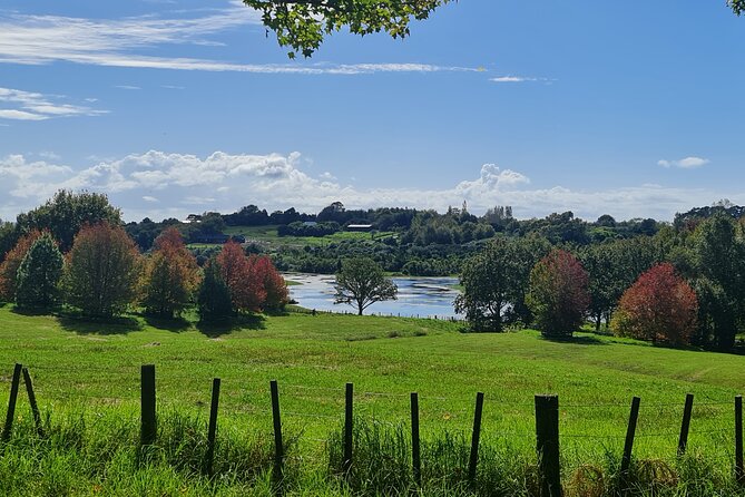 Auckland Nature Tour - One Tree Hill adds animals and open space