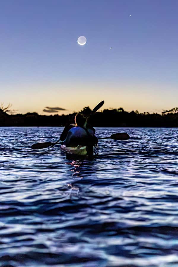 Auckland: Night Kayak Tour in Glowing Bioluminescent Waters - The 75-minute paddle into darkness