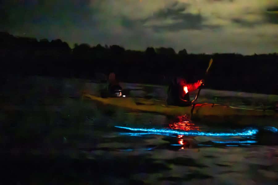 Auckland: Night Kayak Tour in Glowing Bioluminescent Waters - Stars above, Sea Sparkle below