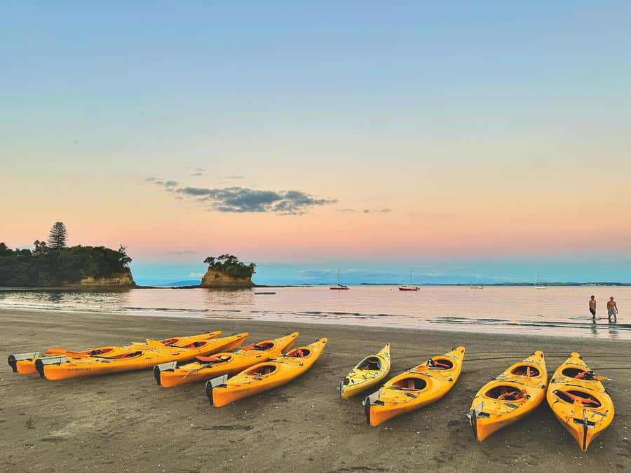 Auckland: Night Kayak Tour in Glowing Bioluminescent Waters - Group size and the kayak question