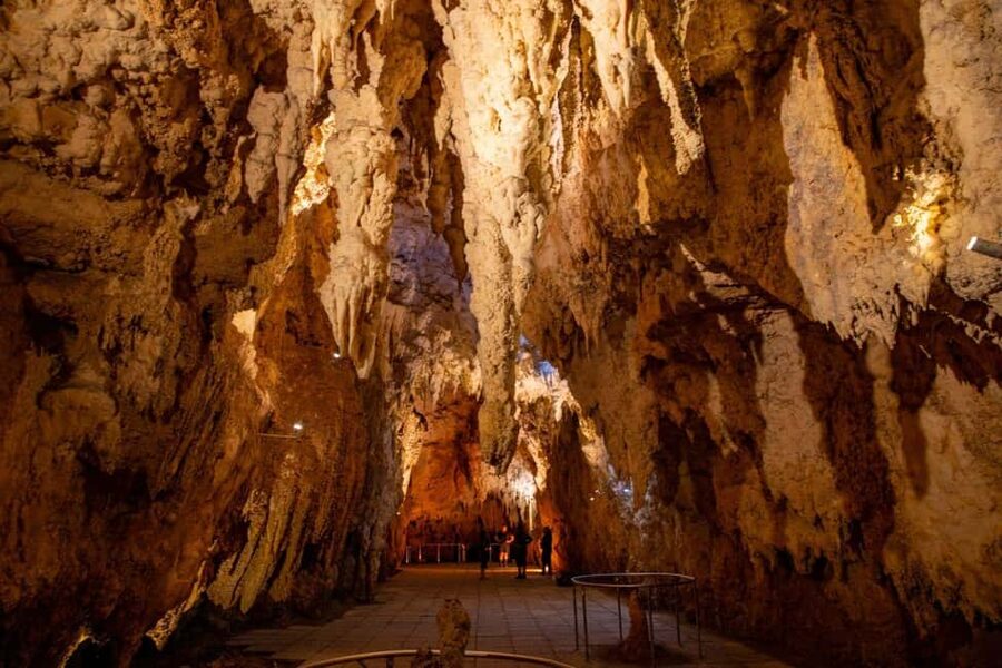 Auckland: One-Way Tour to Rotorua with Waitomo Caves - The glowworm grotto is the tour’s quiet highlight