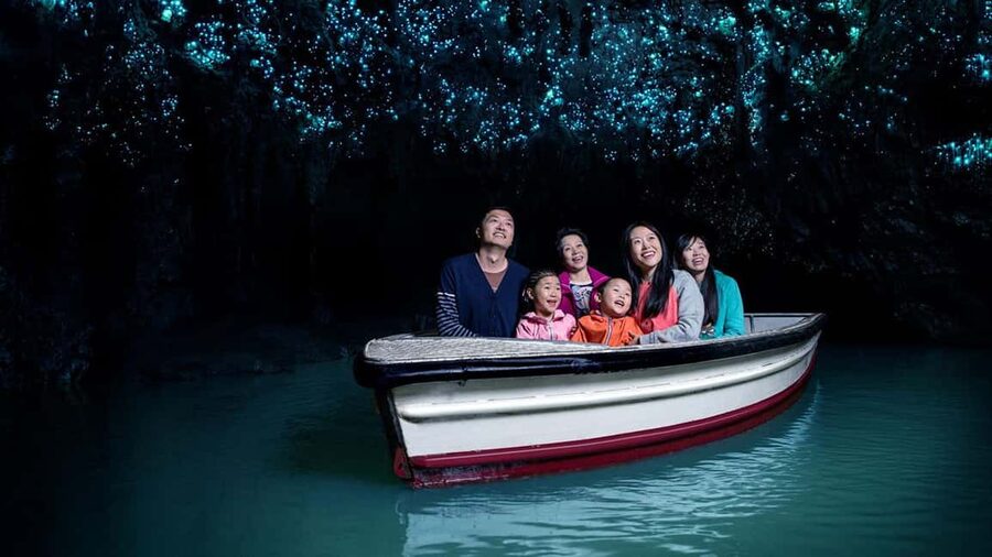 Auckland: One-Way Tour to Rotorua with Waitomo Caves - Should you book the Auckland to Rotorua transfer?