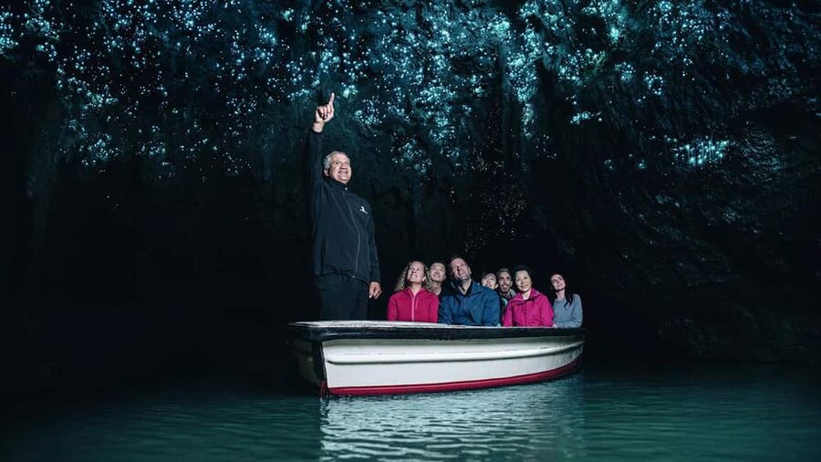Auckland: One-Way Tour to Rotorua with Waitomo Caves - The Waikato road trip starts before Waitomo