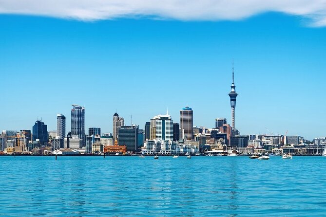 Auckland Private Custom Walking Tour with A Guide (Private Tour) - The limits you should know before booking