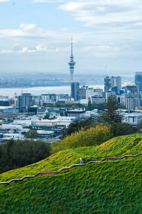 Auckland: Private Walking Tour with a Local - Queen Street, Auckland Domain, and the value of a central start