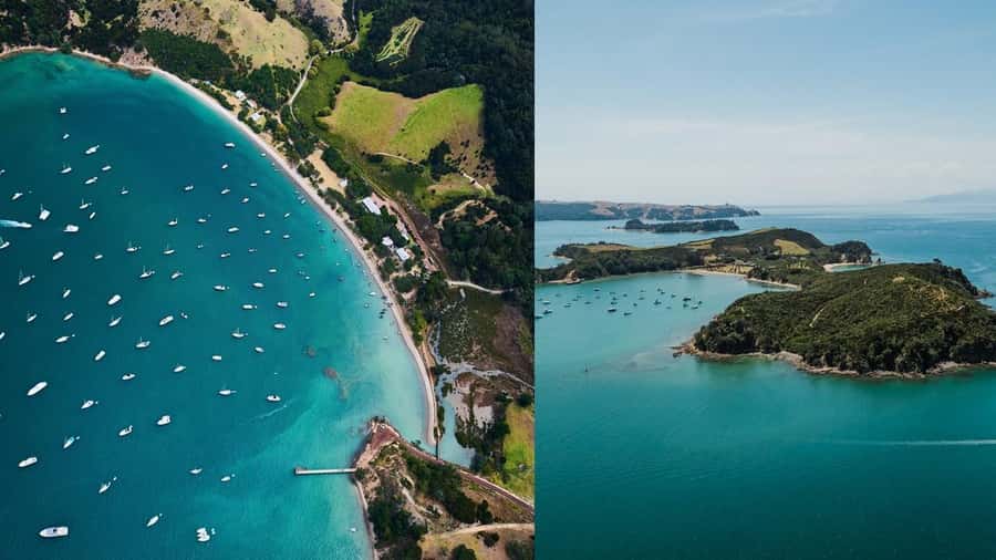 Auckland: Rotoroa Island and Man O'War Vineyard Combo Tour - Key points at a glance