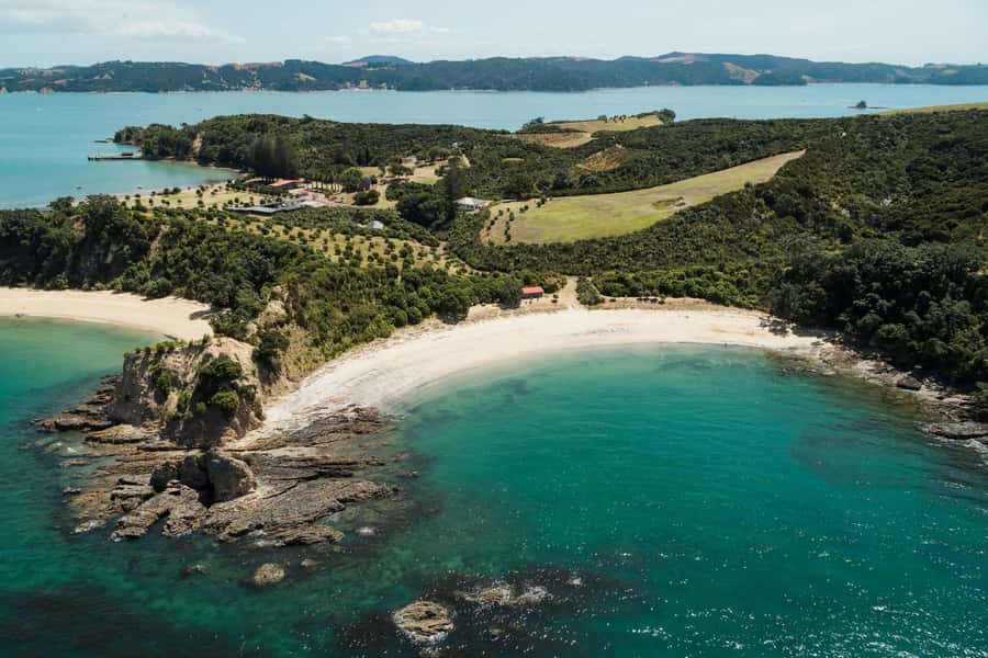 Auckland: Rotoroa Island and Man O'War Vineyard Combo Tour - The Hauraki Gulf cruise sets the mood