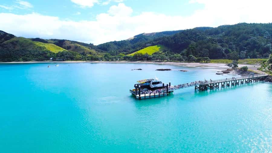 Auckland: Rotoroa Island and Man O'War Vineyard Combo Tour - Man O’ War’s beachfront cellar door