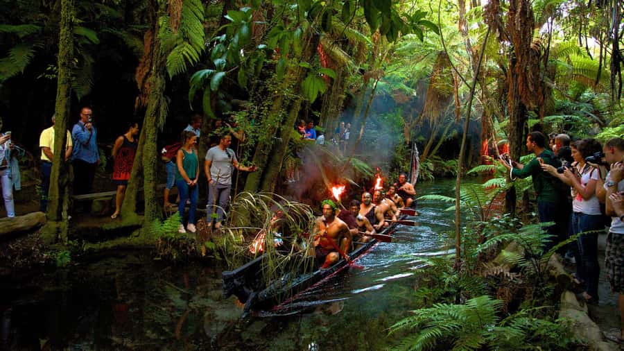 Auckland: Rotorua Māori Cultural & Geothermal Tour & Lunch - Is $264 per person good value?