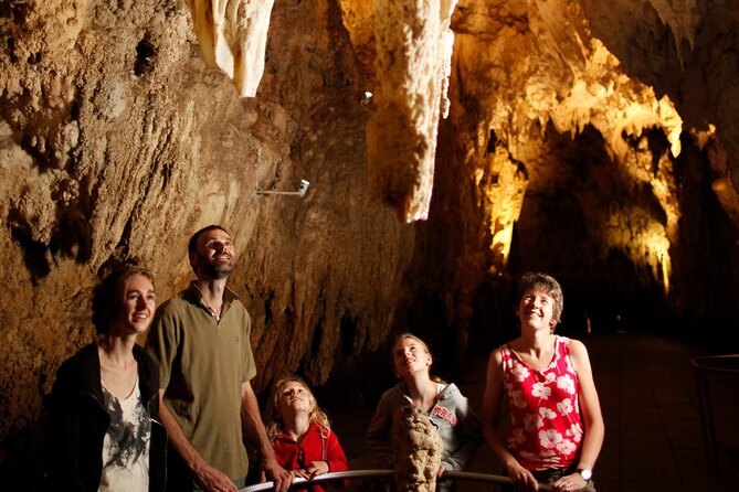 Auckland: Rotorua Māori Village, Waitomo Caves & Lunch - Song, dance, and a powerful haka