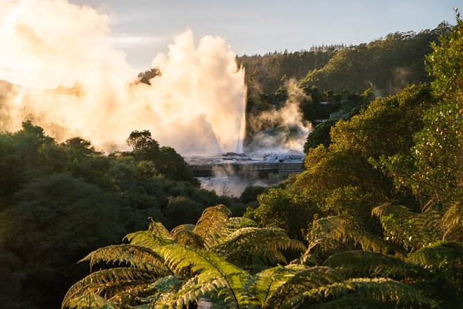 Auckland: Rotorua Te Puia with Haka & Polynesian Spa Small Group - Polynesian Spa and the Deluxe Lake Spa