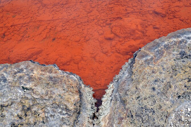 Auckland: Rotorua Tour with Waiotapu, Te Puia and Maori Haka - Is $245.13 a fair price?