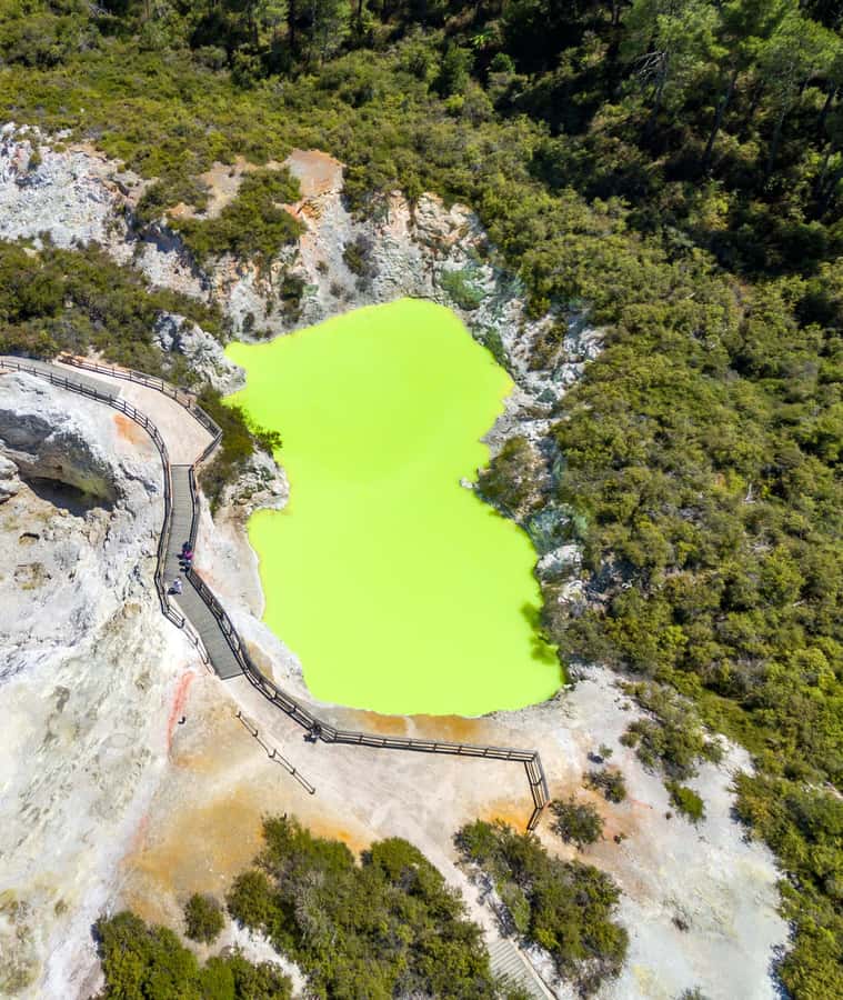 Auckland: Rotorua Wai-O-Tapu & Activity Combinations - Lady Knox Geyser and the first geothermal display