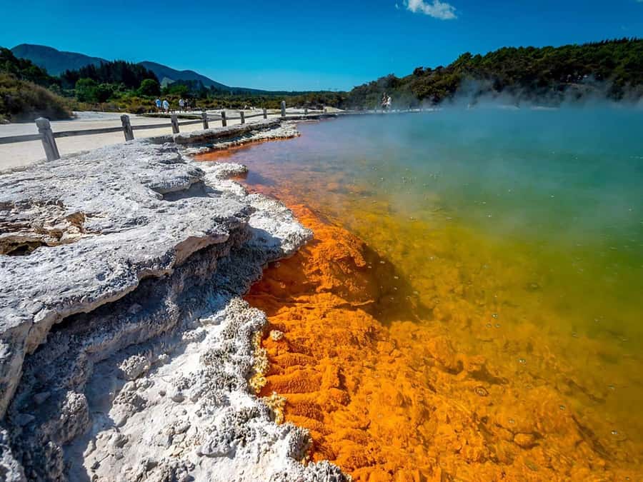 Auckland: Rotorua Wai-O-Tapu, Te Puia with Haka - Key points to know before booking