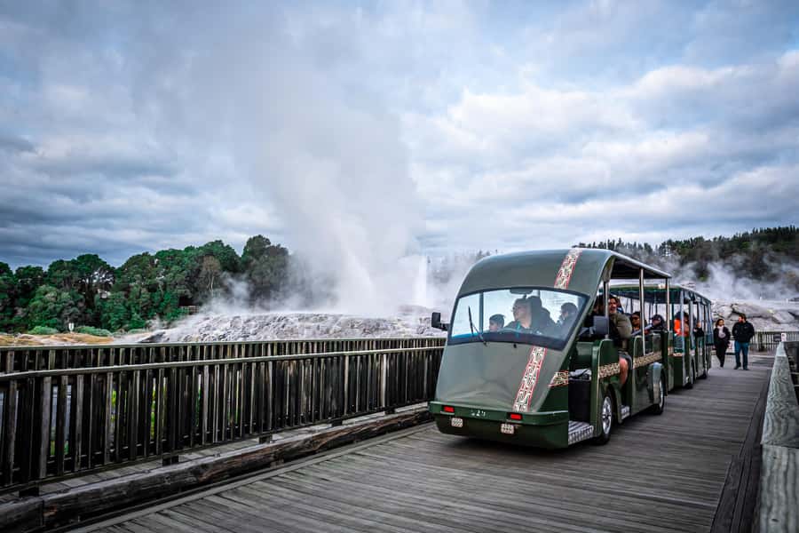 Auckland: Rotorua Wai-O-Tapu, Te Puia with Haka - The guides make a real difference