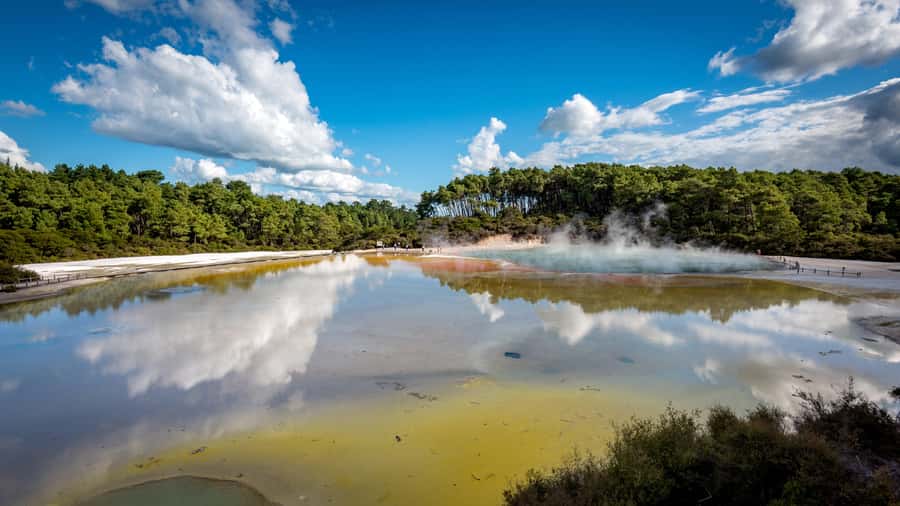 Auckland: Rotorua Wai-O-Tapu, Te Puia with Haka - The early pickup and long road to Rotorua
