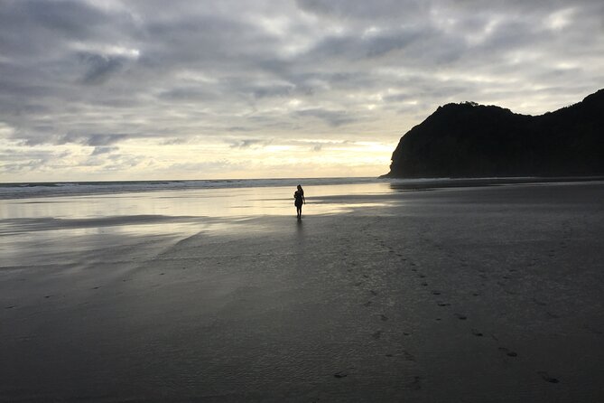 Auckland's Wild West Coast & Black Sand Beaches Tour inc Lunch - North Head above Devonport