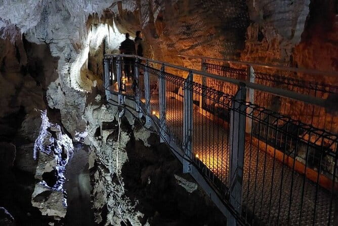 Auckland's Wild West Coast & Black Sand Beaches Tour inc Lunch - What the $108.60 price gets you