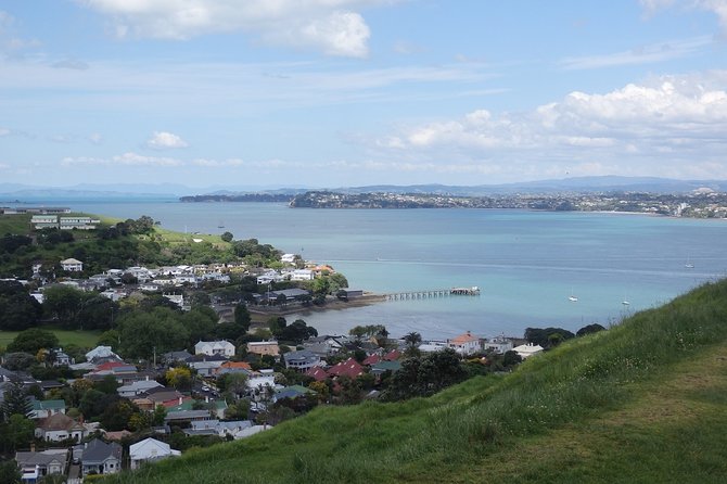 Auckland Scenic Day Tour Full-Day- 8 HOURS - Ponsonby and Auckland’s everyday city life