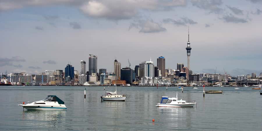 Auckland Scenic Half-Day City Sightseeing Tour - Key things to know before you book