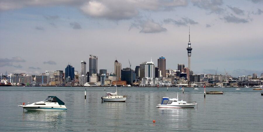 Auckland Scenic Half-Day City Sightseeing Tour - What the guides add to the ride