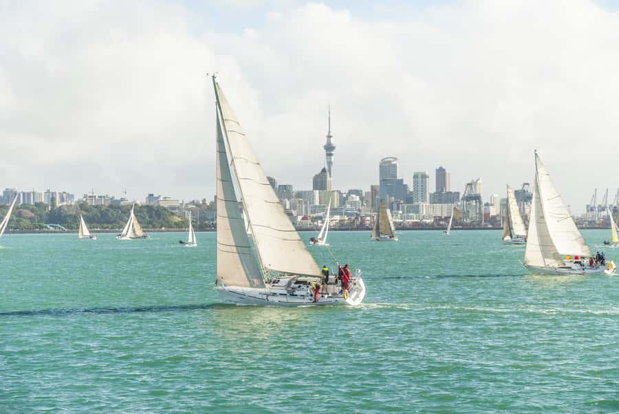 Auckland Scenic Half-Day City Sightseeing Tour - Crossing the Harbour Bridge to Northcote Point