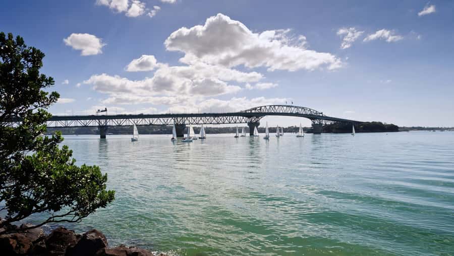 Auckland Scenic Half-Day City Sightseeing Tour - The café break before Mount Eden