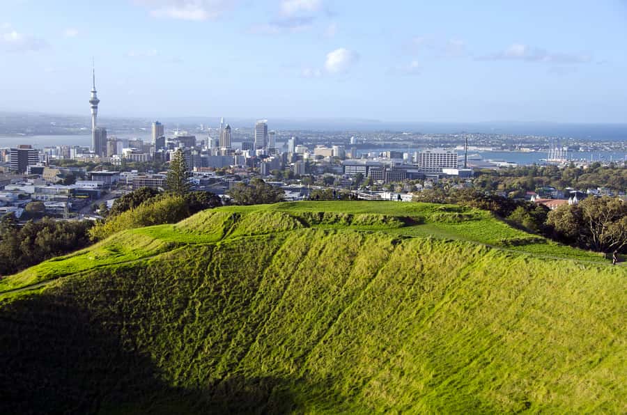 Auckland Scenic Half-Day City Sightseeing Tour - Starting by the Ferry Building and Westhaven Marina