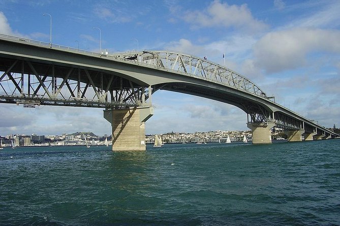 Auckland Scenic Tour : Must-See Sights in Half Day - A quick Auckland overview without giving up a full day