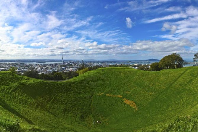 Auckland Scenic Tour : Must-See Sights in Half Day - Auckland Harbour Bridge in a ten-minute photo stop