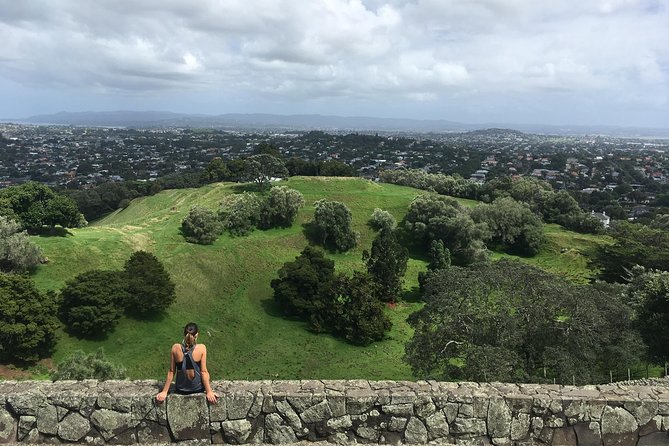 Auckland Scenic Tour : Must-See Sights in Half Day - What the guide adds to the drive