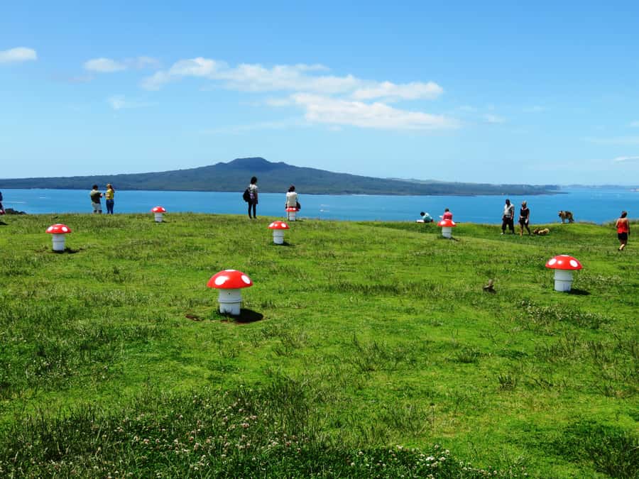 Auckland: Segway Tour to Mount Victoria - Training before the tour begins