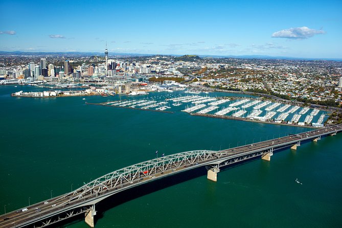 Auckland Shore Excursion: Half-Day Guided City Tour - Queen Street, Auckland Domain, and Parnell