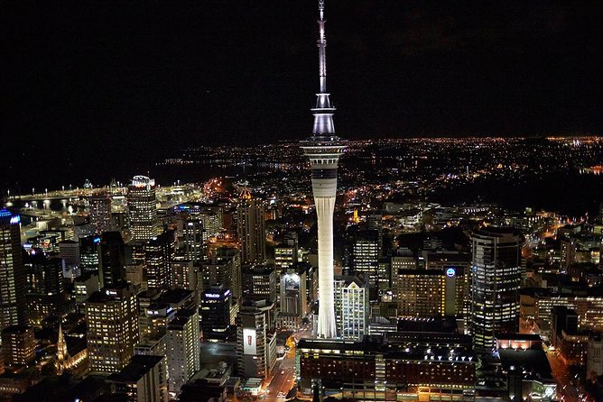 Auckland Shore Excursion: Half-Day Guided City Tour - Westhaven Marina and the waterfront return