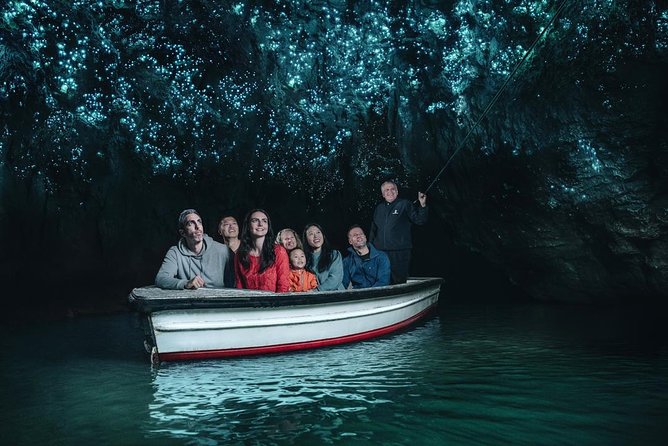 Auckland Sights Exclusive 8 Hour Luxury Day Tour - Auckland Museum and the cost of going inside