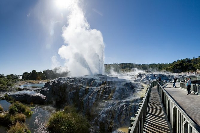 Auckland Sights Exclusive 8 Hour Luxury Day Tour - Who gets the most value from this tour?