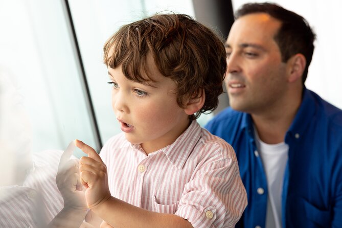 Auckland Sky Tower General Admission Ticket - Is the $24 ticket good value?