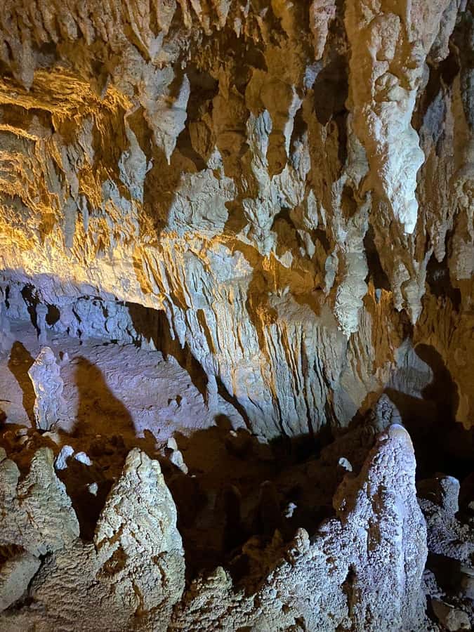 Auckland: Spellbound Glowworm Caves Explorer Tour - Why the glowworms are worth the long road south