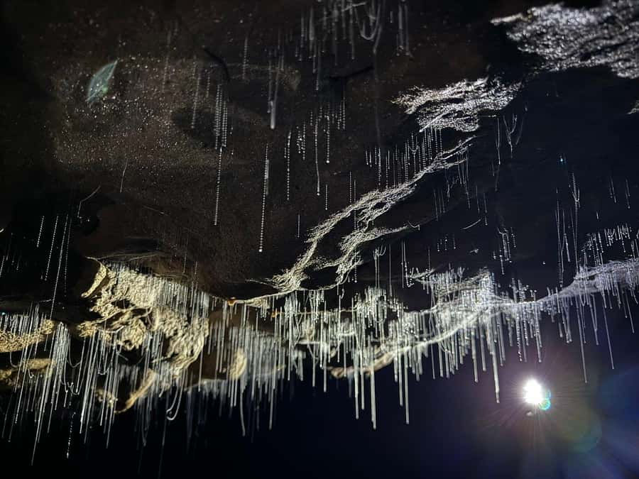 Auckland: Spellbound Glowworm Caves Explorer Tour - The Auckland pickup and the long drive