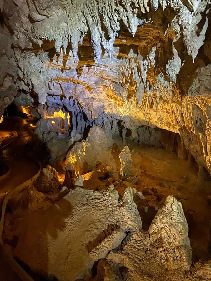 Auckland: Spellbound Glowworm Caves Explorer Tour - Te Ana o Te Atua and the value of a longer cave visit