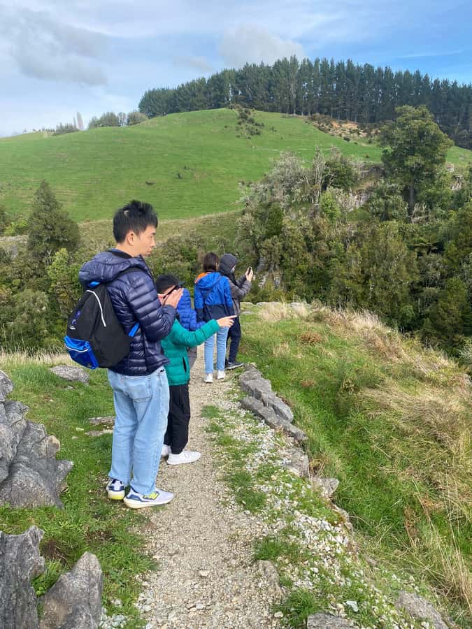 Auckland: Spellbound Glowworm Caves Explorer Tour - Practical tips for a smoother day