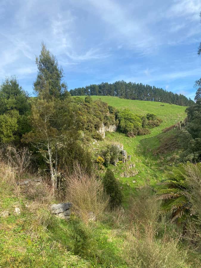 Auckland: Spellbound Glowworm Caves Explorer Tour - Should you book the Spellbound Glowworm Caves tour?