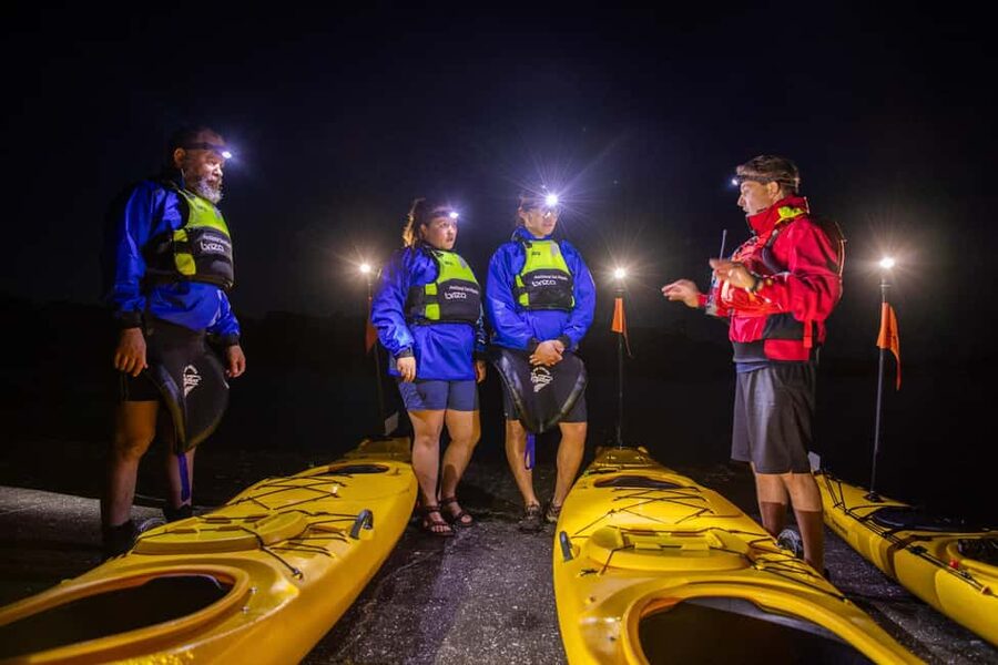 Auckland: Sunset & Night Sea Kayak Tour to Rangitoto Island - Why this Rangitoto trip feels different