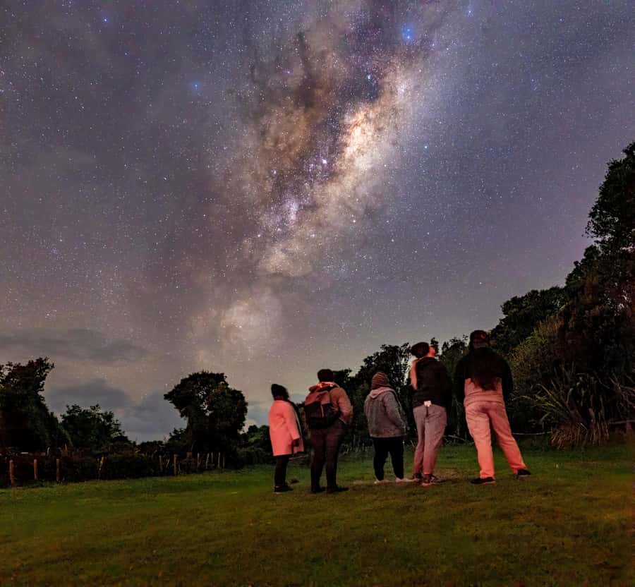 Auckland (Tawharanui): Wild Kiwi Bird Spotting Encounter - The first hour: slow steps through the night bush